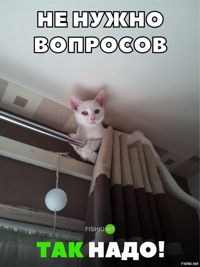 Вопросов больше чем ответов