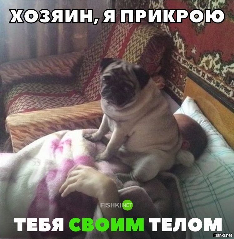 Прикрыл своим телом