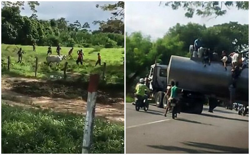 Голод в Венесуэле: толпа забила камнями корову, а из-за "голодных" протестов погибло 4 человека