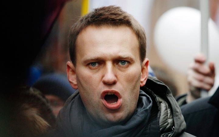 Жизнь Навального глазами Штейн: клоунада, мошенничество и вранье