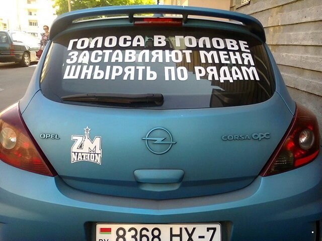 Автовсячина