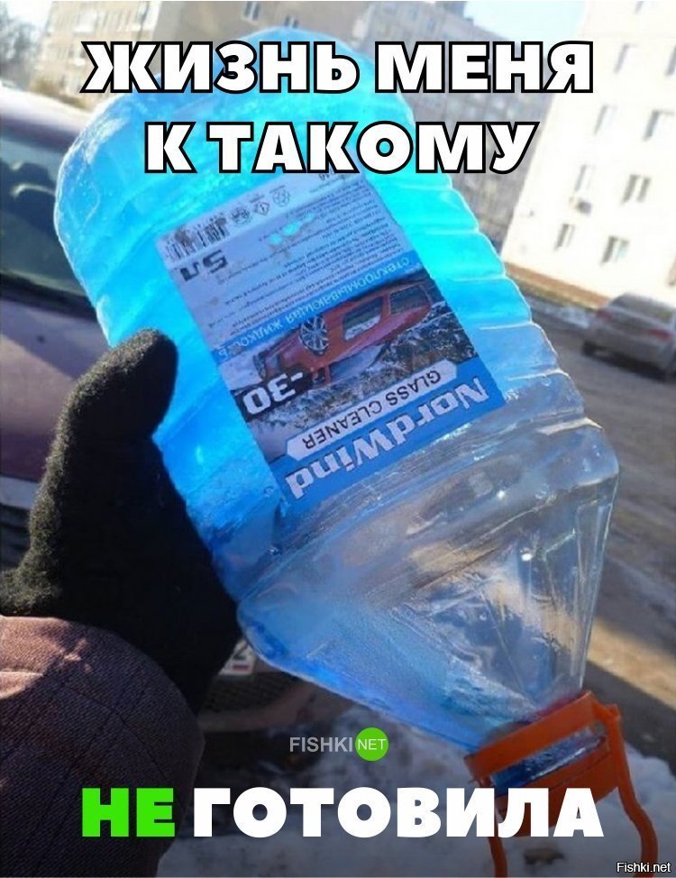 К такому меня жизнь не готовила