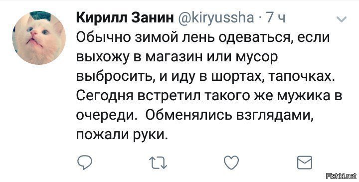 Встретились два ленивца
