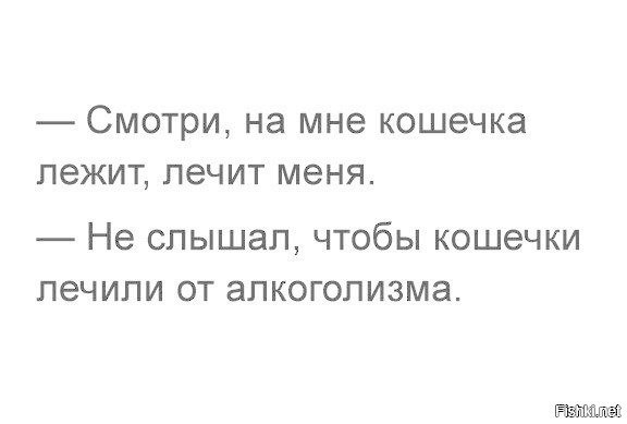 Кошечки лечат всё
