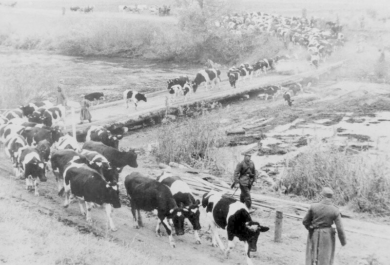 Фотографии  «Жизнь в тылу в Германии», вторая мировая война