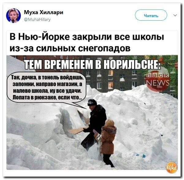 Политические коментарии соцсетей - 373