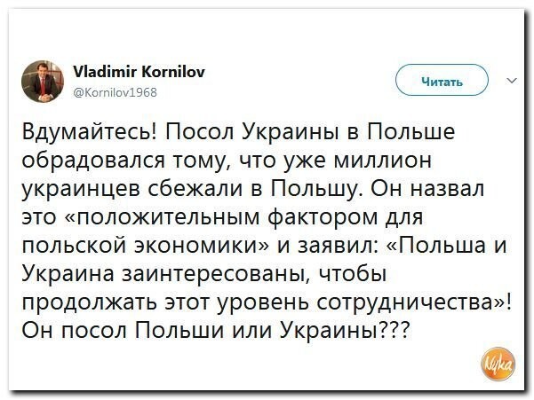 Политические коментарии соцсетей - 373