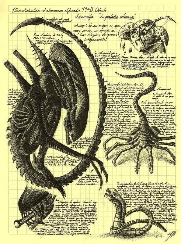 Немного кино и книжно фантастической красоты и юмора