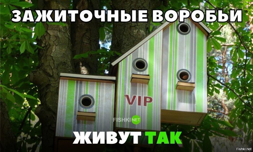 Для зажиточных воробьём