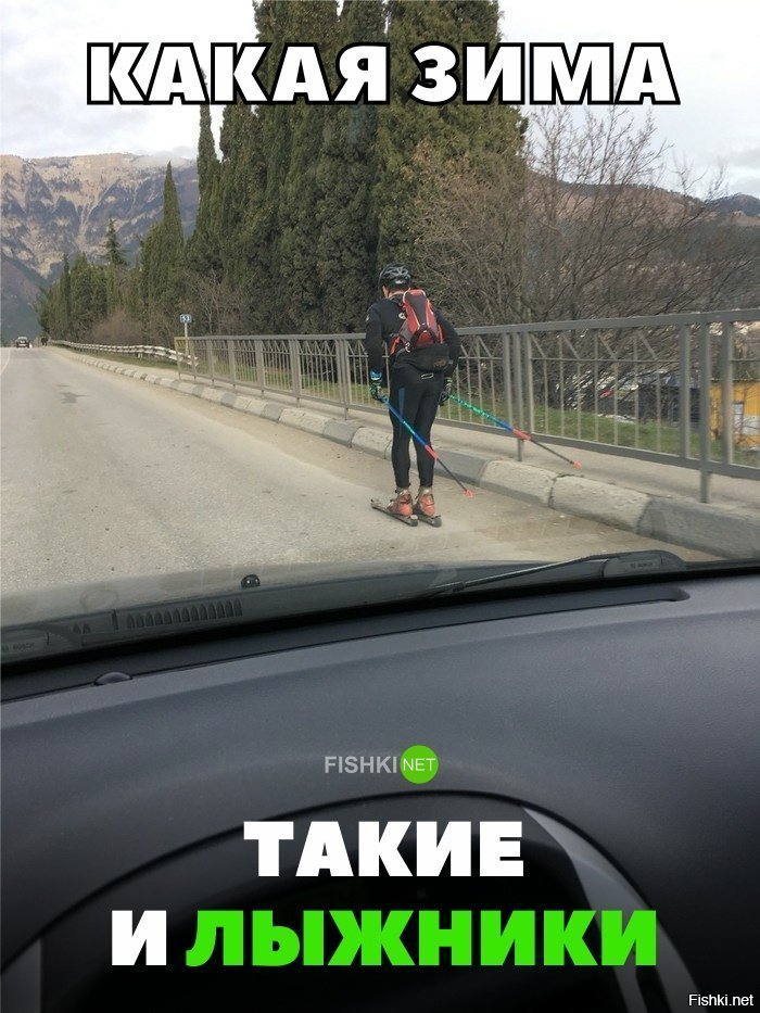 Какая зима, такие лыжники
