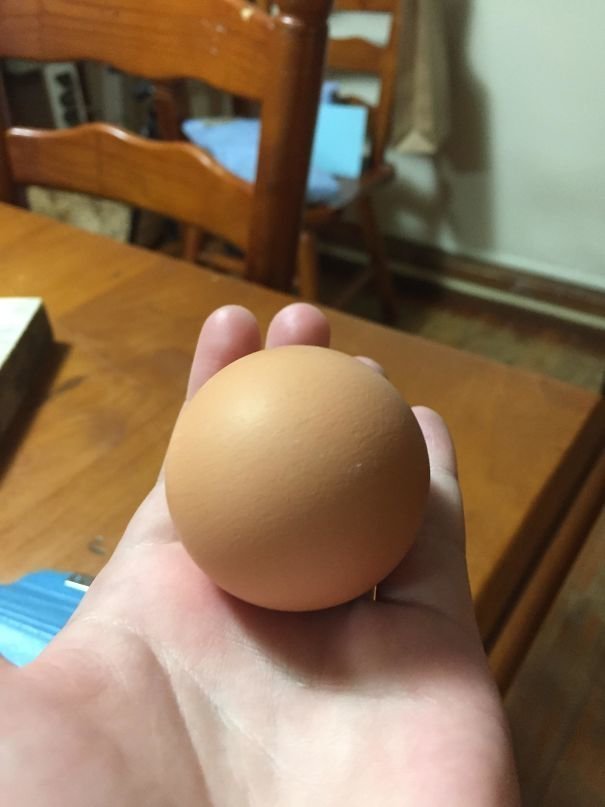 Яйцо - идеальный шар