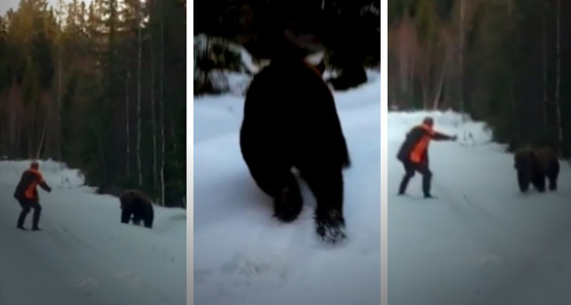 Как спастись от медведя за пару секунд. Урок от шведского охотника (видео)