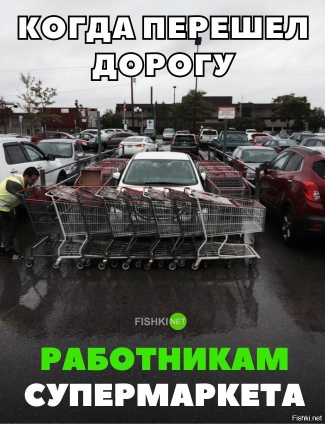 Не тем дорогу перешёл