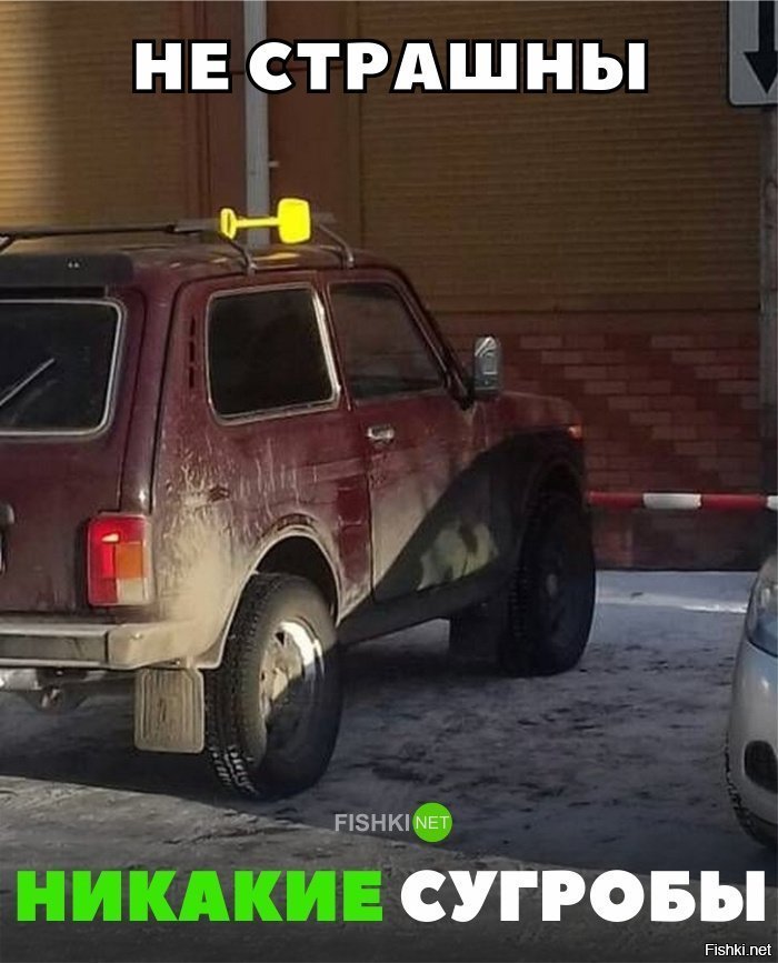 Не страшны сугробы