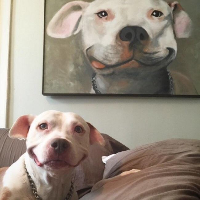Когда у твоей собаки настолько прекрасная улыбка, что ты создаешь ее портрет