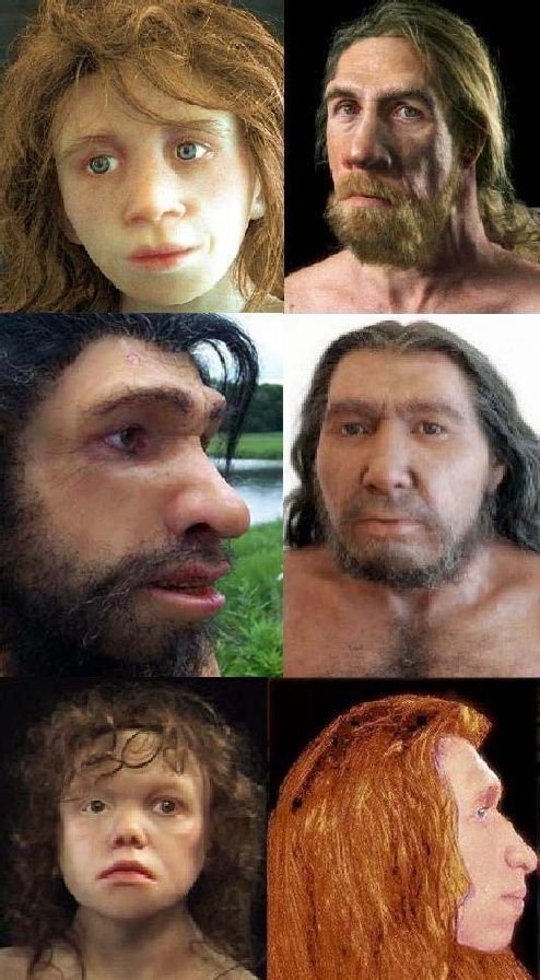 Еще лица неандертальцев