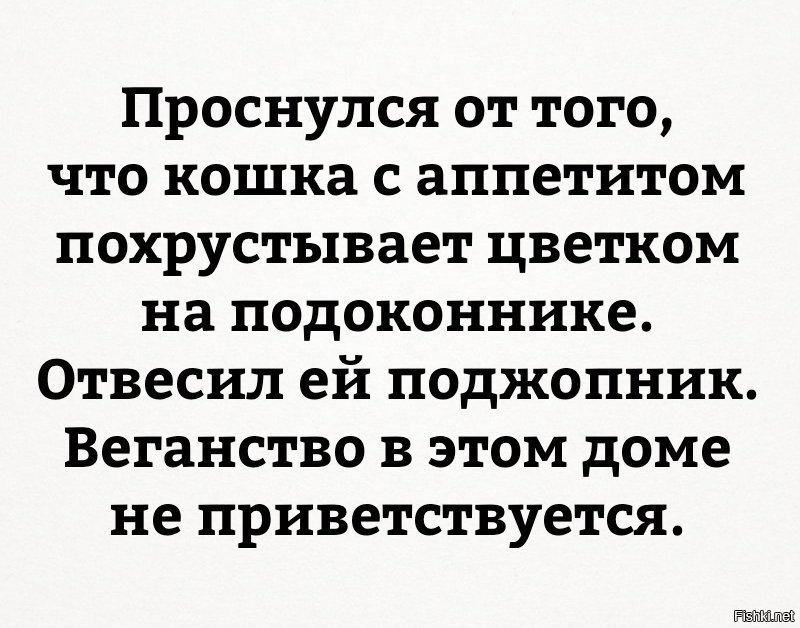 Кошка вегана
