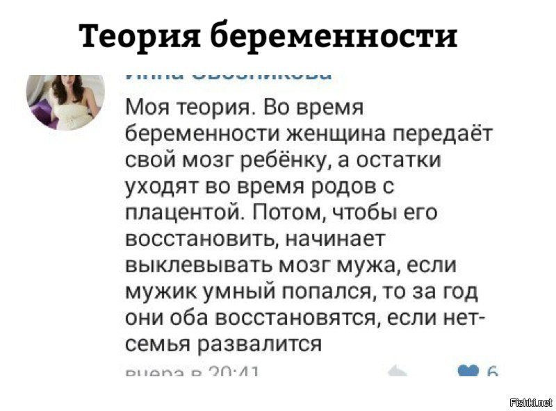 Теория беременности