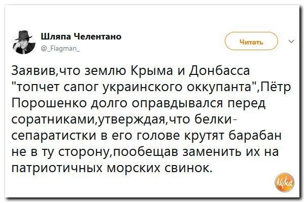 Политические коментарии соцсетей - 377