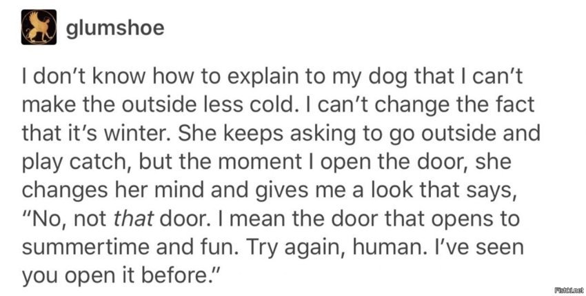 - Я не знаю, как объяснить моей собаке, что я не могу сделать 'снаружи&#...