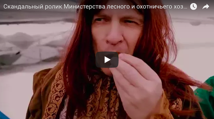 Губернатор Оренбургской области уволил главу Минлесхоза и троих его заместителей за участие в съемках ролика