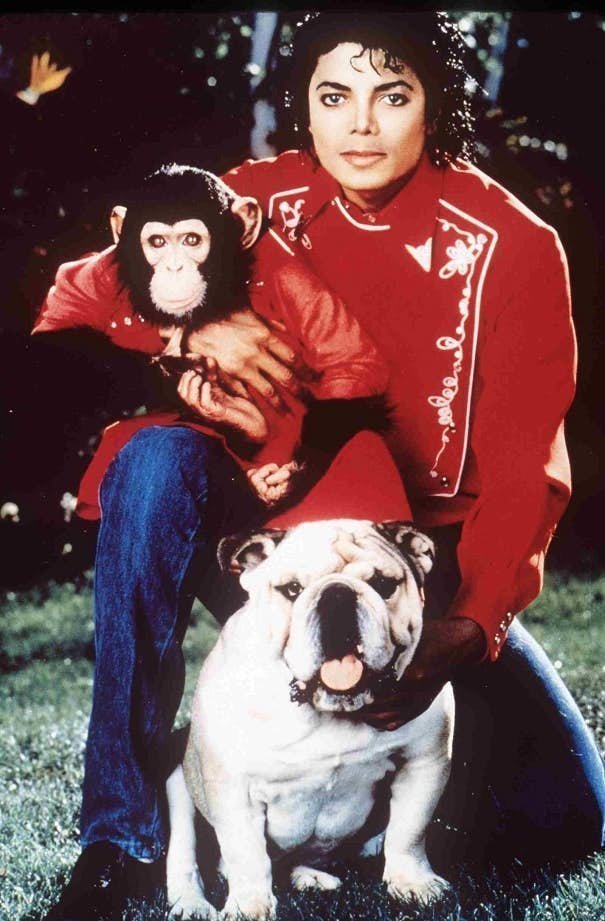 Майкл Джексон - шимпанзе