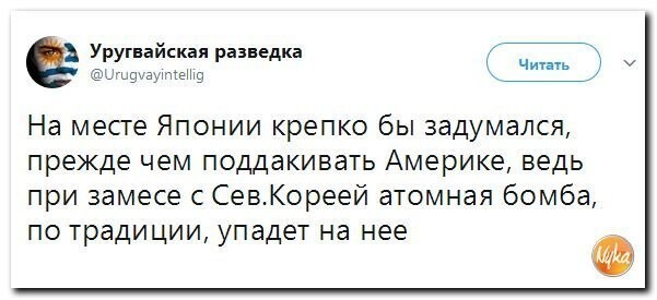 Обо всём понемногу: Политические комментарии сой.сетей