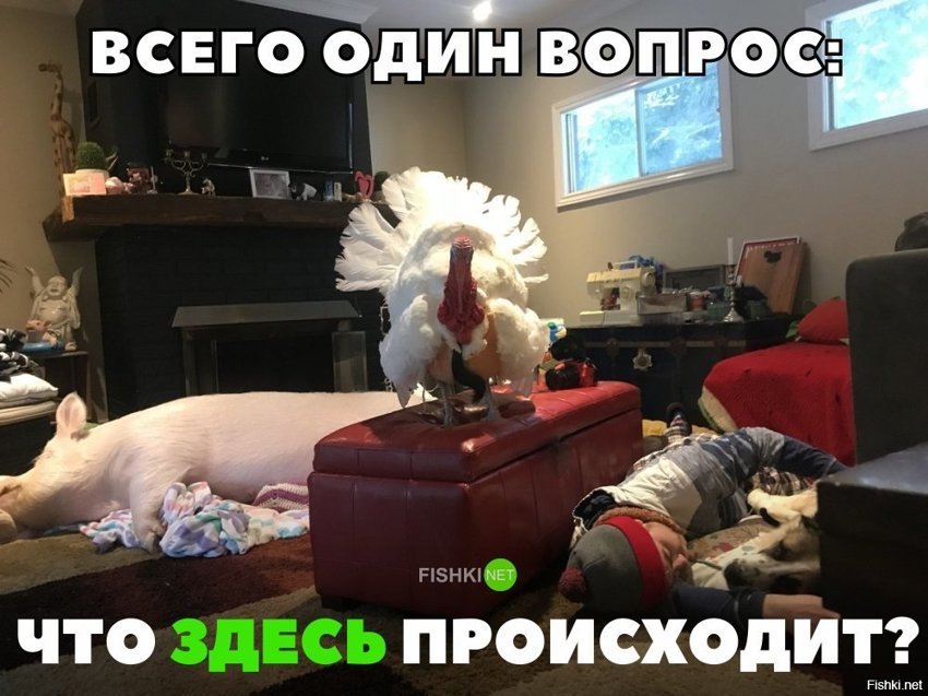Что здесь происходит?