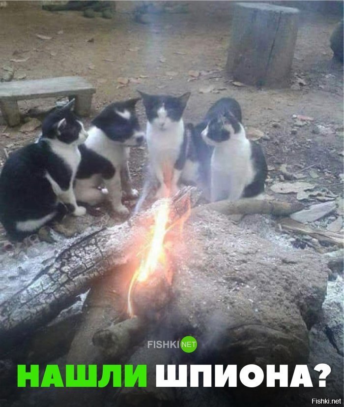Шпион