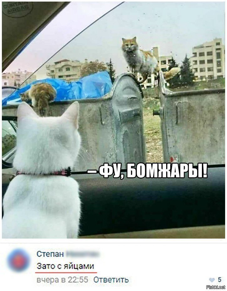 Зато с яйцами