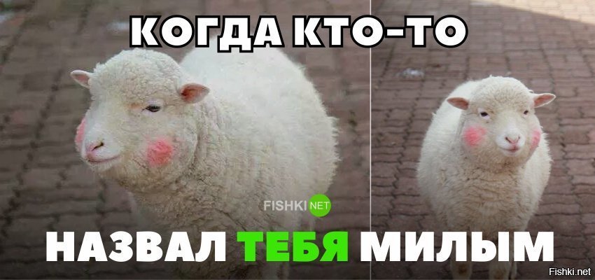 Жизненно