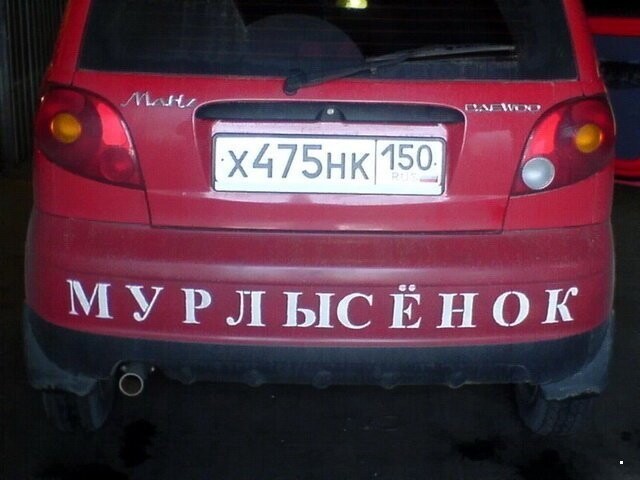 Автовсячина