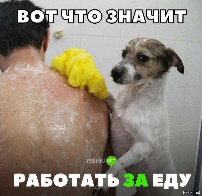 Работа за еду