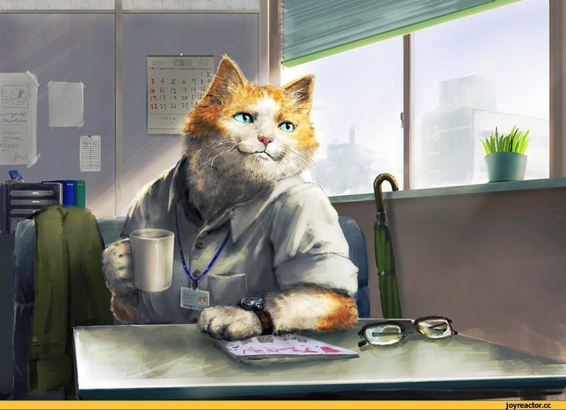Коты трудоголики