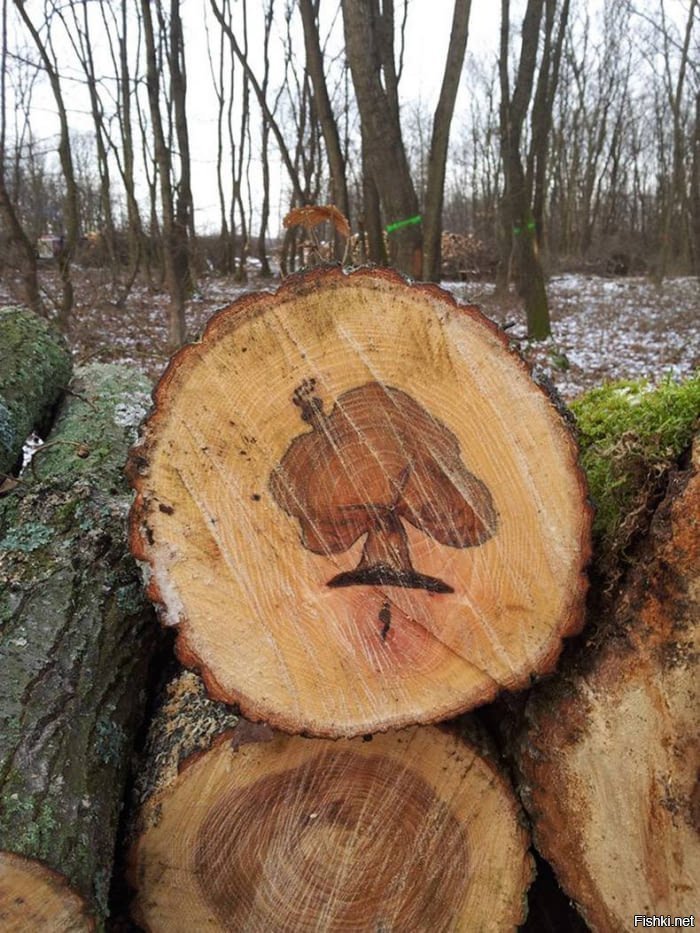 Дерево-художник