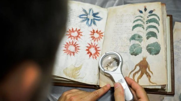 Канадские учёные расшифровали начало загадочного манускрипта Войнича