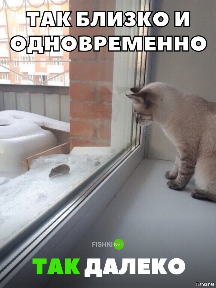 Так близко и так далеко