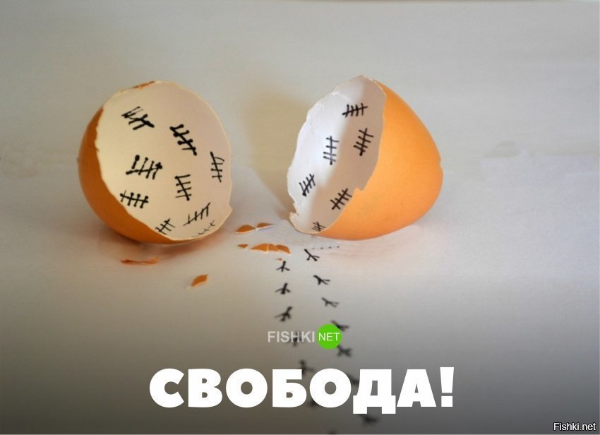 Свобода