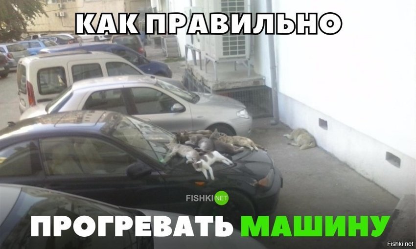 Правильный прогрев автомобиля
