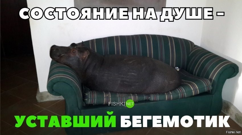 Состояние души