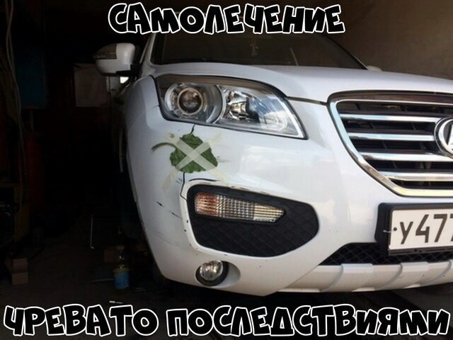 Автовсячина