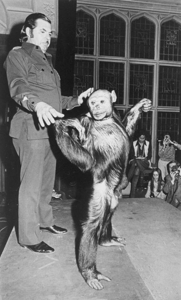 А вы верите в возможность скрещивания человека с обезьяной?