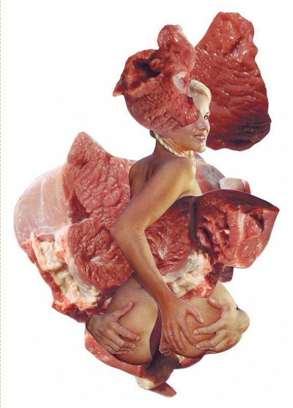 Ashkan Honarvar создал серию картин с названием "Мясо". Соединив в нем женщин из порнороликов и куски мясо он призывает осмыслить предназначение женщины в мире, исключив использование их как мяса