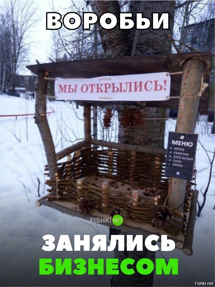 Воробьиный бизнес