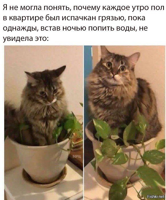 Полтергейст