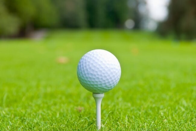 8) В обычном мяче для гольфа существует ровно 336 дырочек