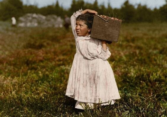 3. Дженни Камилло, 8-летняя сборщица клюквы (Пембертон, Нью-Джерси, 1910 г.)