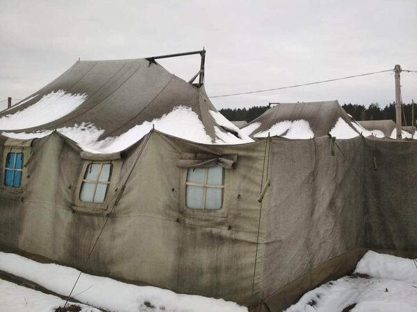 Свинармия в естественной среде обитания