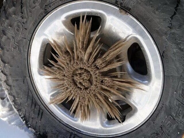 Автовсячина