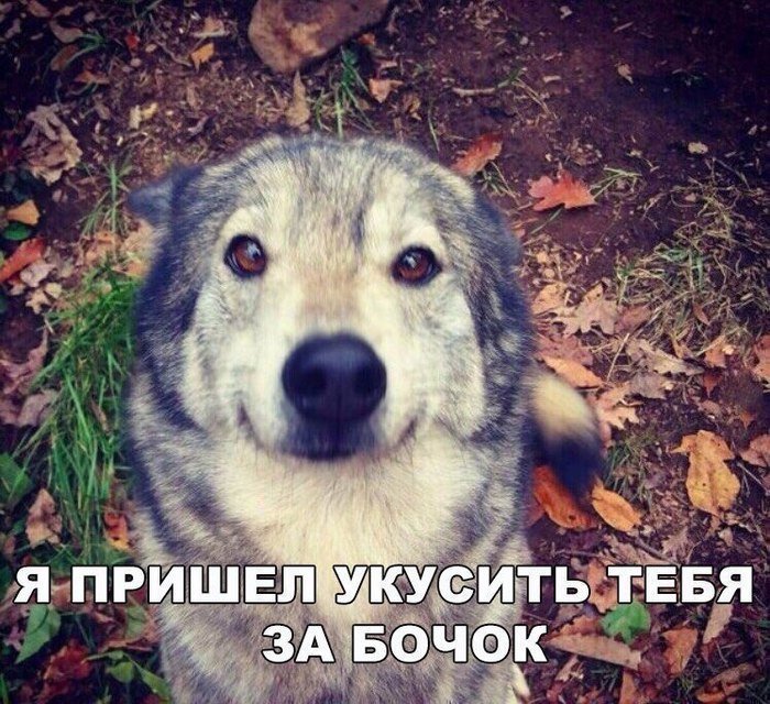 Вчера пел ребенку колыбельную про волка который кусает за бочок. Вот думаю.. этот залижет насмерть